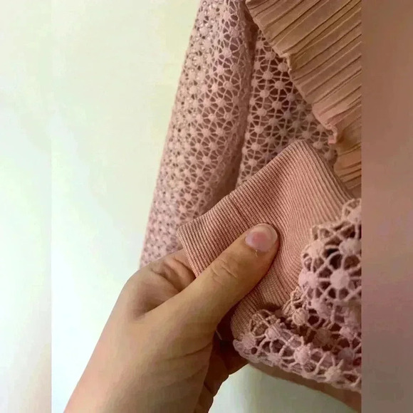 Allison Crochet Like Ruffle Pullover Top Size XS Blush Coquette Sheer Girlhood - Picture 13 of 13